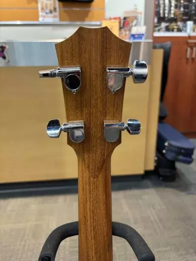 Taylor Guitars - GS MINIE BASSV1 2